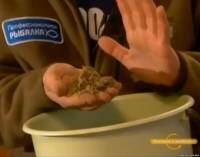 Приготовление зимней прикормки